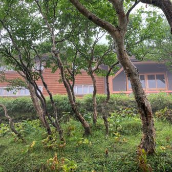 光岳小屋