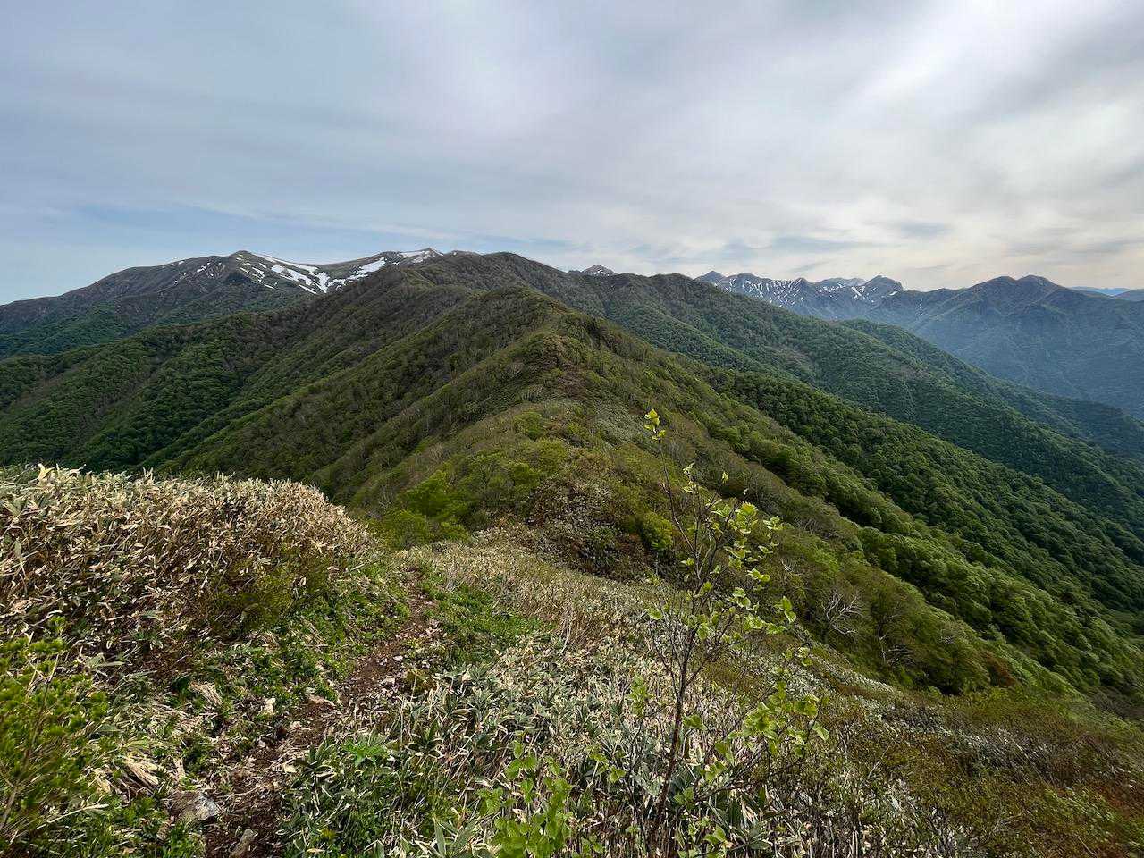 快適な尾根道を行く。遠くに谷川連峰が見え、左手には平標山から仙ノ倉山へと流れるように連なって見える。この景色が見たかったんだよねー