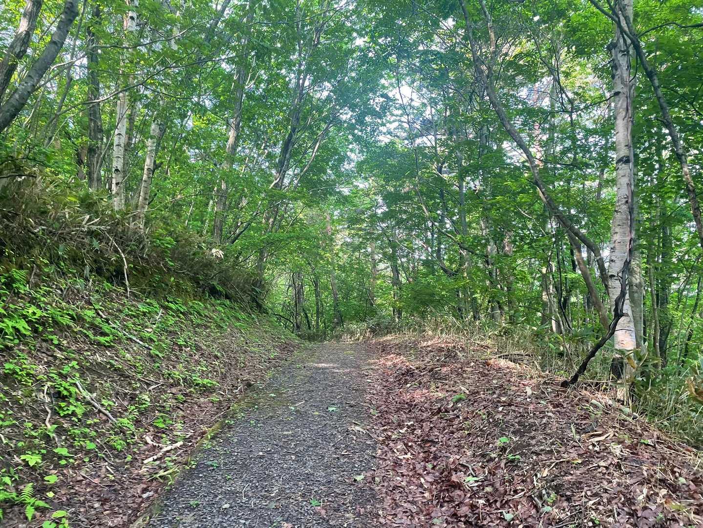 久慈平岳 往復コースの写真