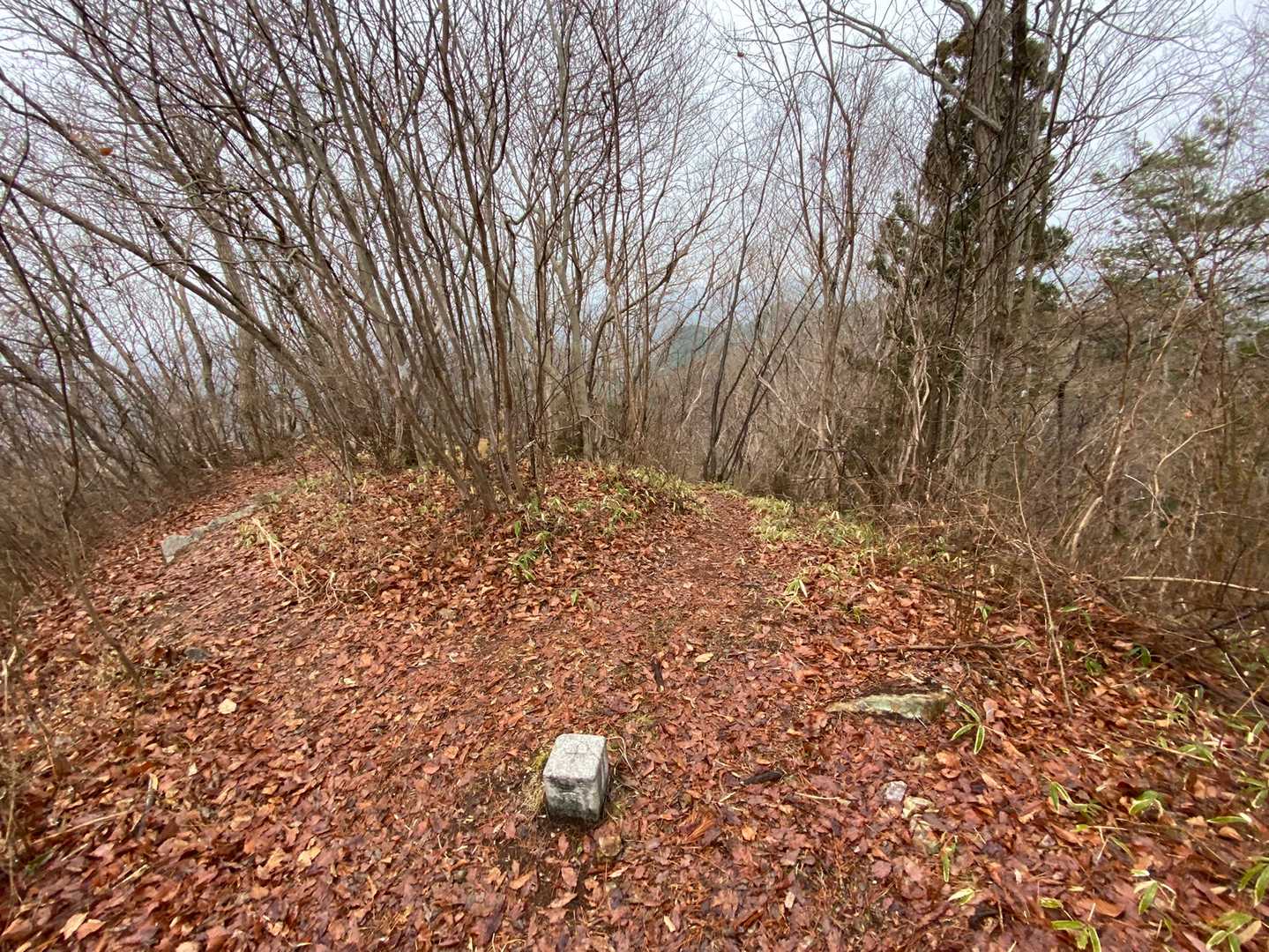 高取山とうちゃく
海さんプレート見つからず⁉️