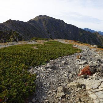 中白根山から間ノ岳方面の景色