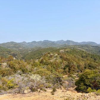 同行者はまだうんと先に見える本宮山まで行くとのこと
すごいなぁ〜✨