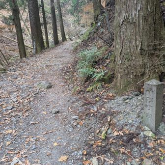 丁目石を脇目に登っていく。最後は51丁目