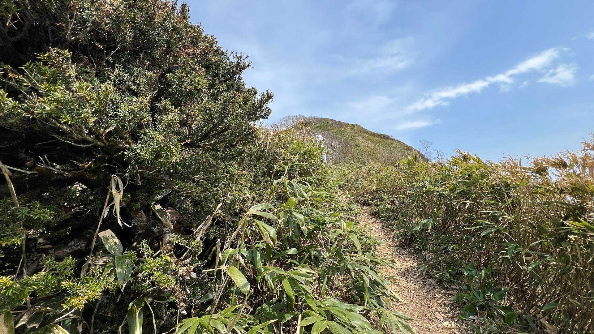 Aコース登山口-神居尻山-開拓台-Cコース登山口 縦走コースの写真