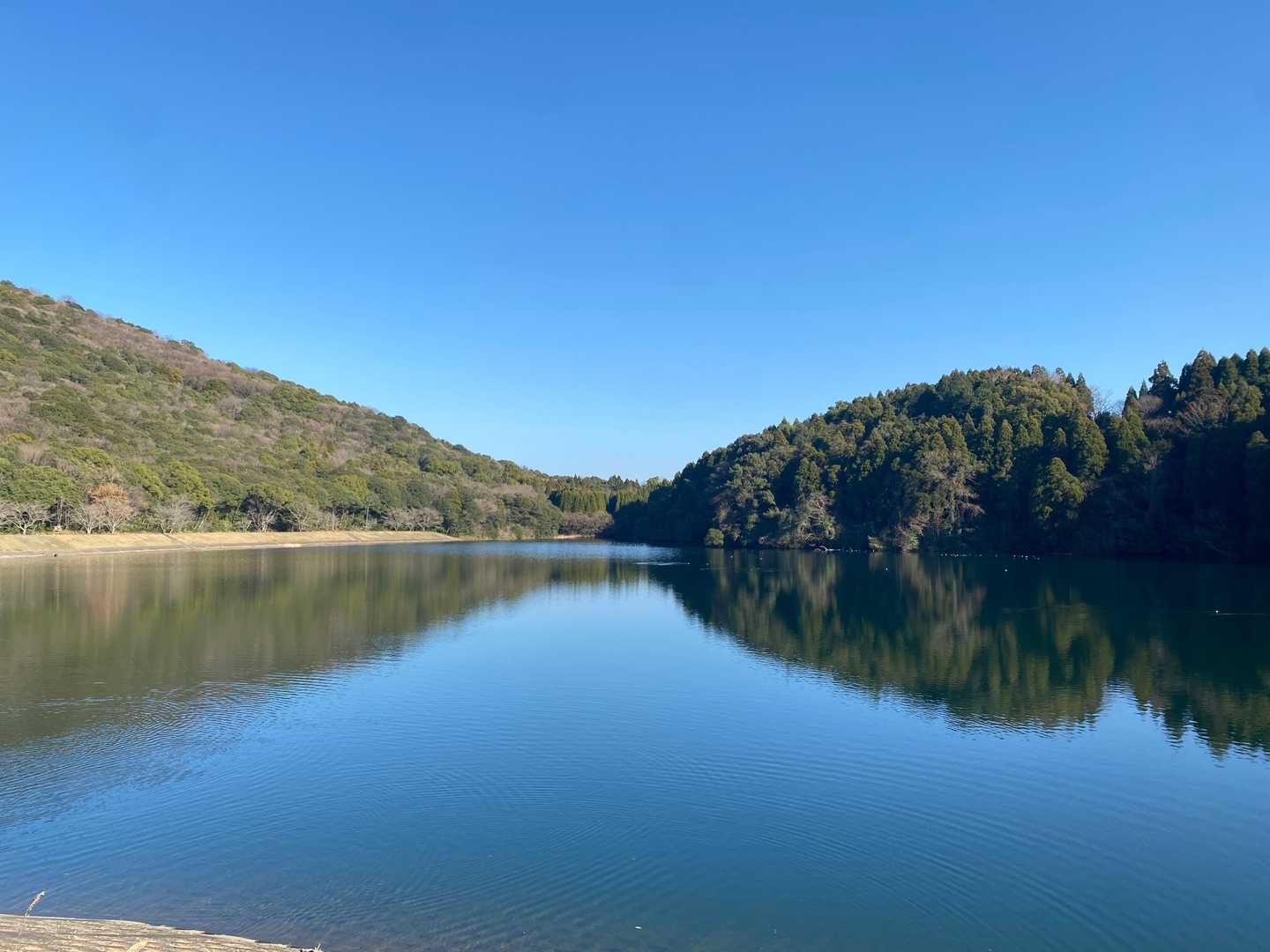 蒲生池登山口-日岡山-蒲生山 往復コースの写真