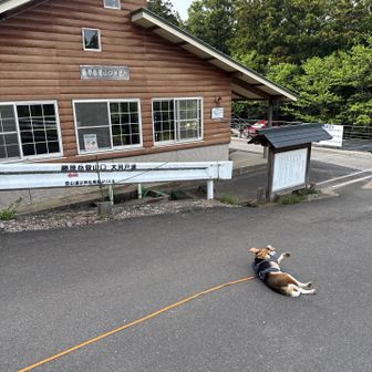 下山して速攻ゴロン