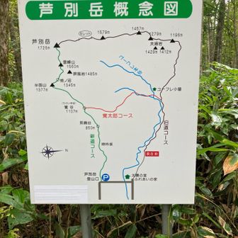 旧道から登る