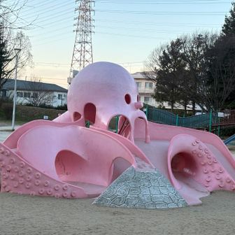 タコの遊具🐙
子供に遊ばせなくなります笑