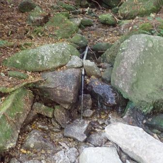 水場がありました