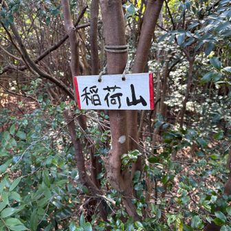 早速、本年一座目、稲荷山