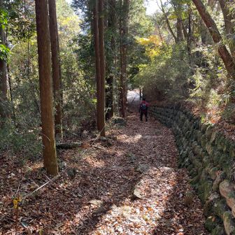 登山口が見えました。
