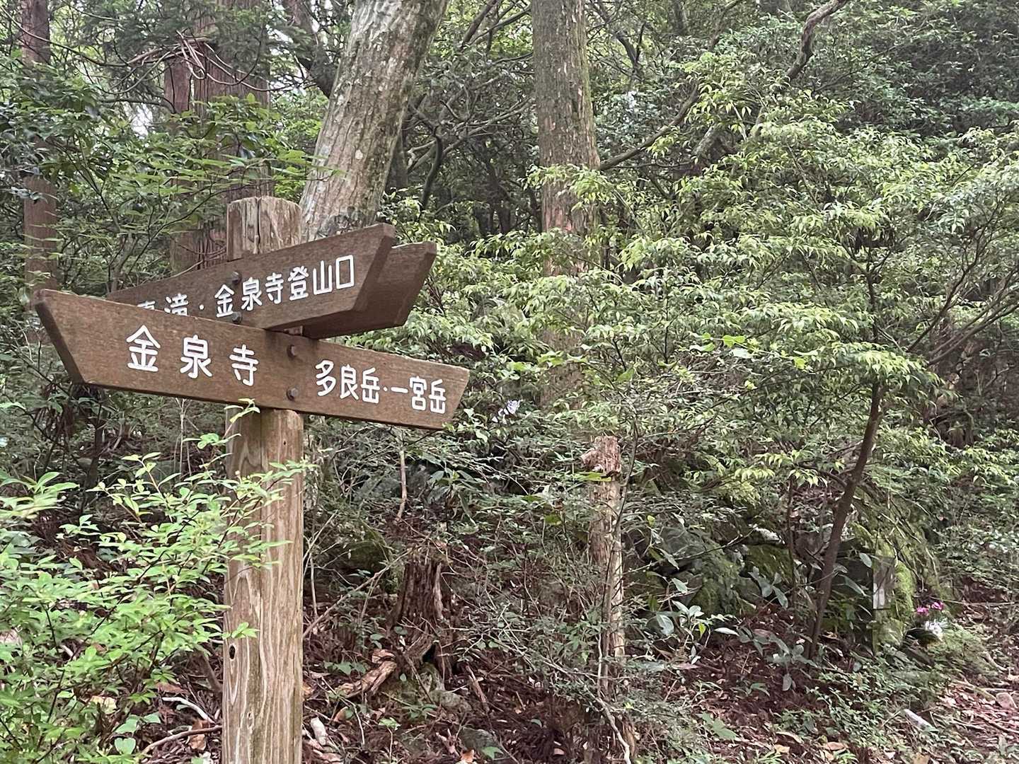 金泉寺登山口発着｜山岳信仰の史跡をたどる国見岳 往復コースの写真
