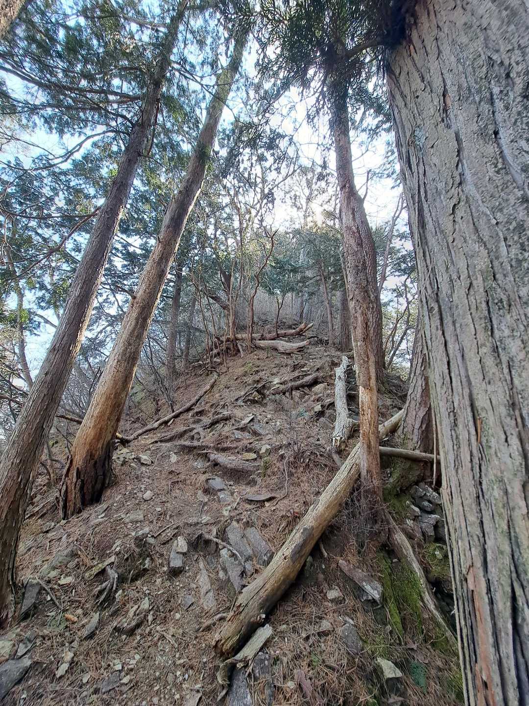 山頂から下りてきました結構、急でした💦