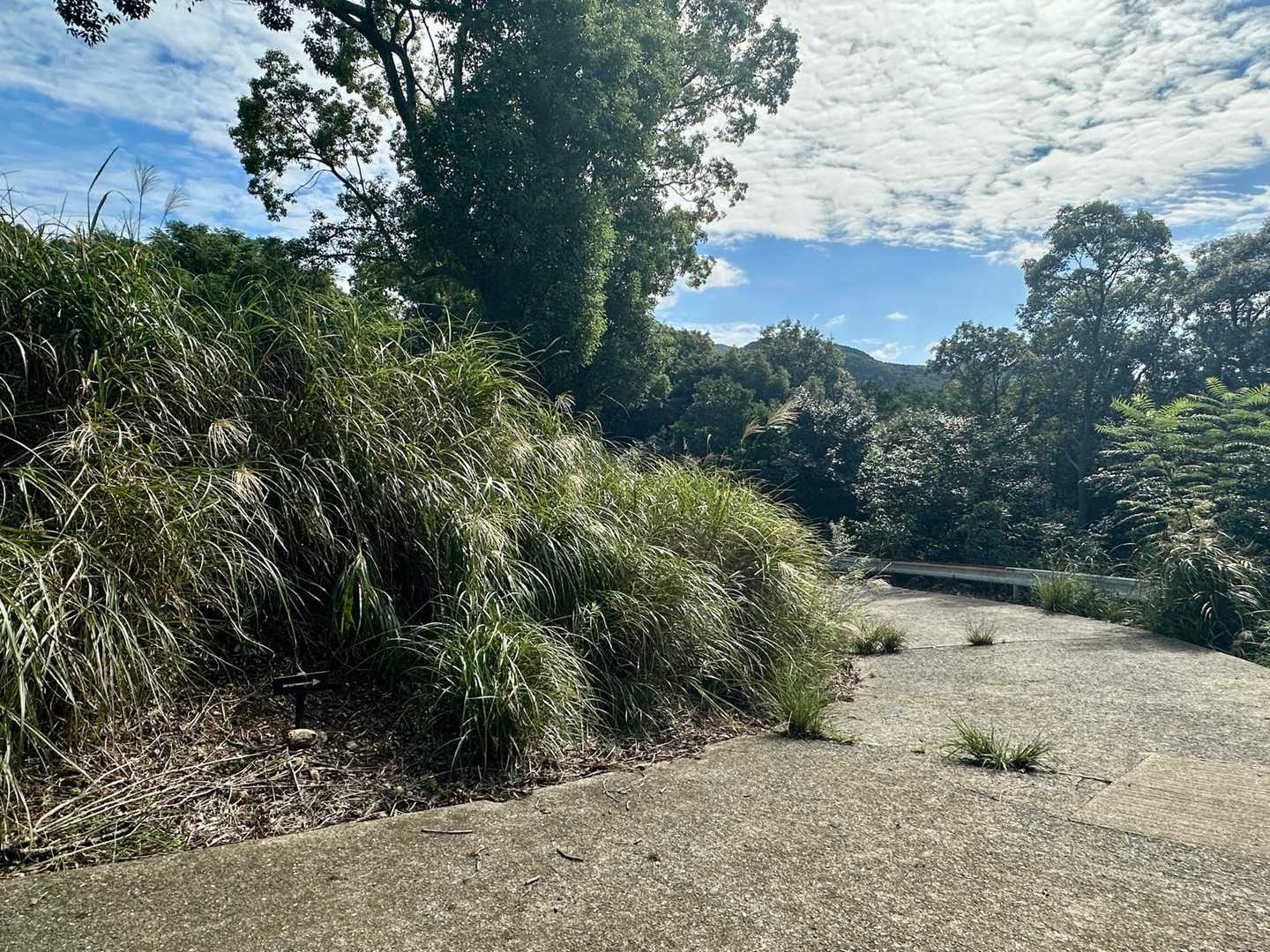 白山 往復コースの写真