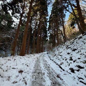 時折日陰に入るとツルツル氷が潜んでます