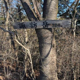 写真を撮り忘れたが、途中稜線歩きが楽しめる。山頂手前に急登もあり、本日のメインとなる諏訪岳。ここで折り返す