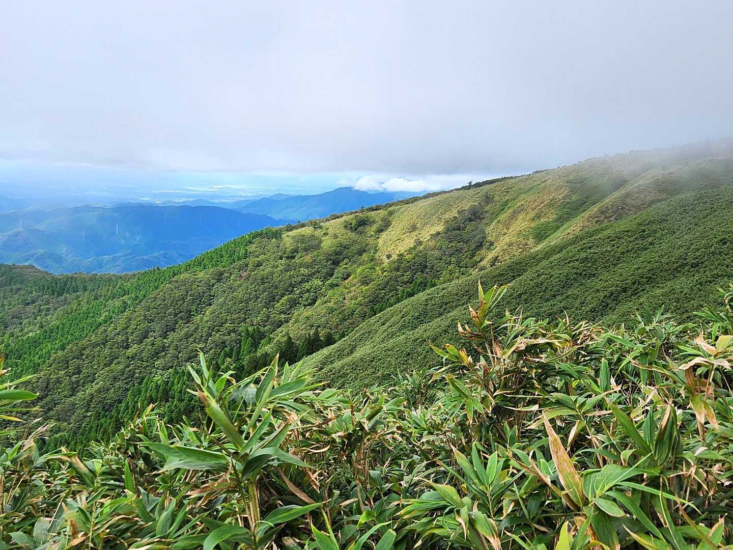 駒の尾山-鍋ヶ谷山-船木山-後山 往復コースの写真
