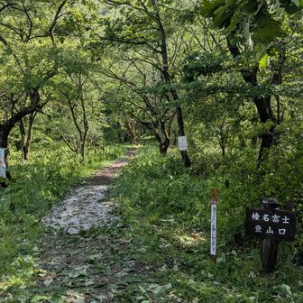 雹が積もる登山口