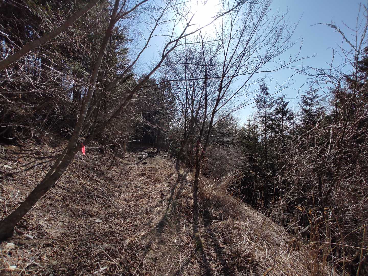 下山時もここで林道を外れ右に下ります。
林道歩いても下山できるのか？