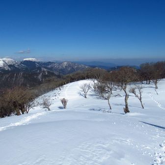 鈴が岳方面にちょっとピークがあるからそこまで行ってみーひん？と同行者。

今日はまだ元気だから行ってみることに。