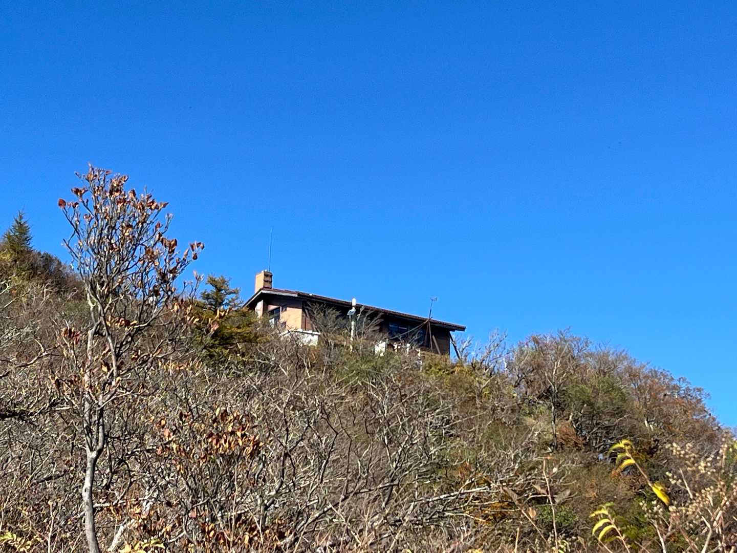 尊仏山荘が見えました