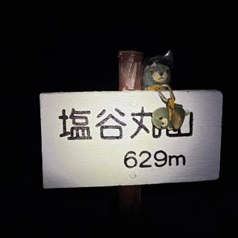 トウチョ🐶
ソリはやめた方がいい🛷🙅‍♂️