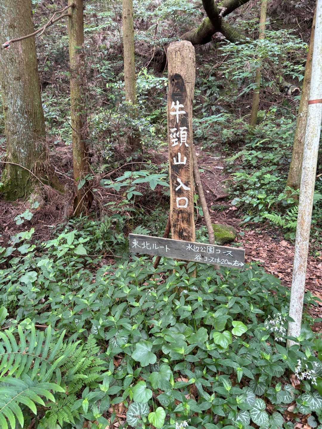 スタート
