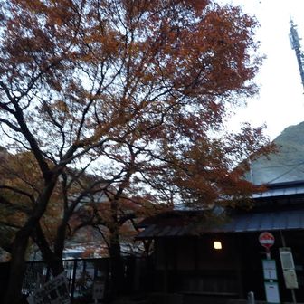 バス停に到着です