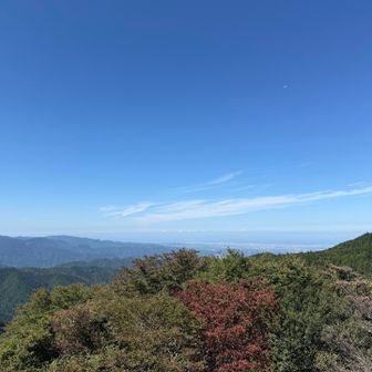 展望台からの眺望