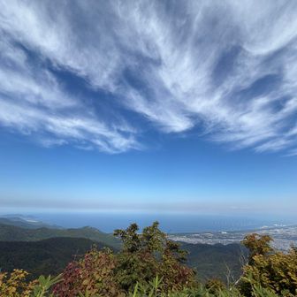 朝寒かったけど、今日は生足でよかったなっ👍