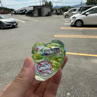 竈門神社駐車場にて、下山あとの蒟蒻畑
シャインマスカットおいしい
