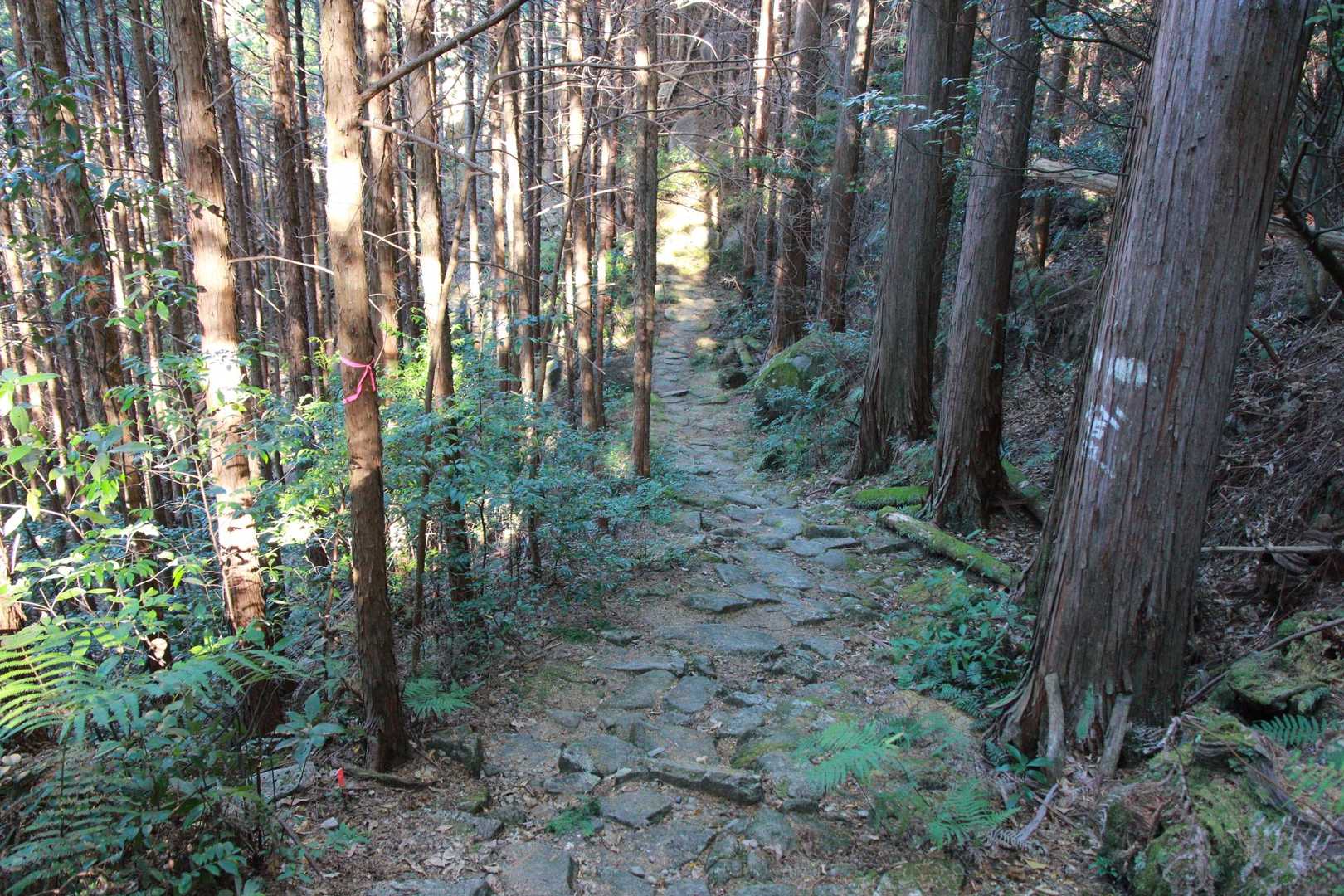 下りは余裕があるから、景色もより綺麗に
見える🤭