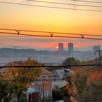 Because it is there🗻