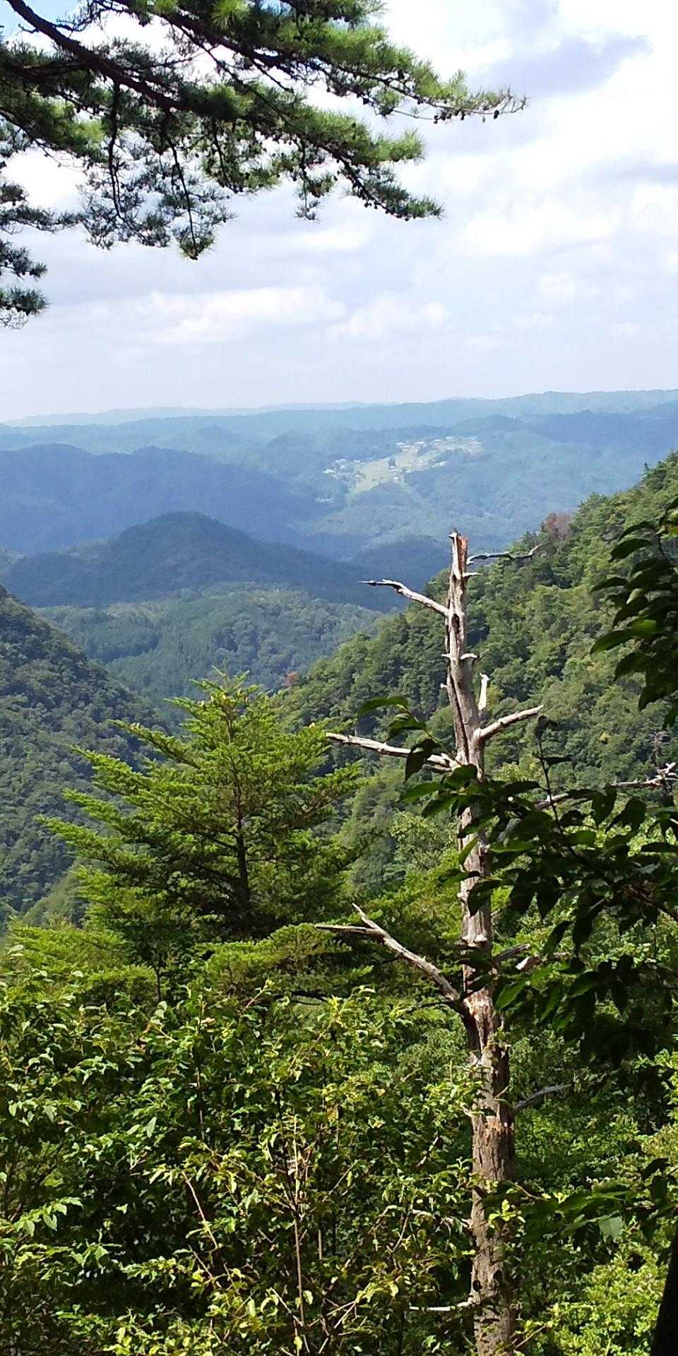 長坂山入山口-長坂山-赤目滝バス停 縦走コースの写真