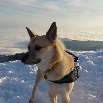 エンジェル登山隊　くう