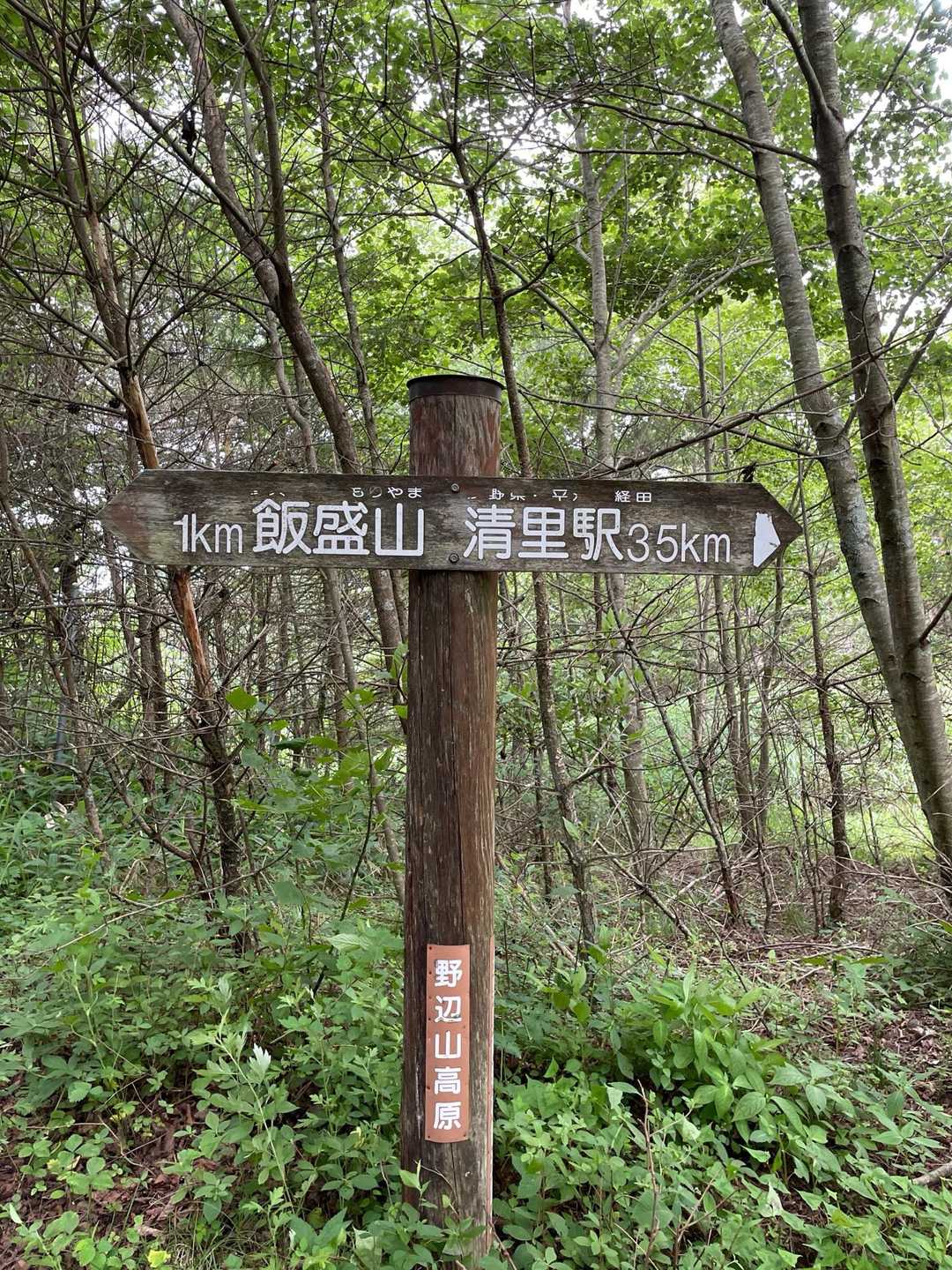 目指す清里駅まで35km⁈😱