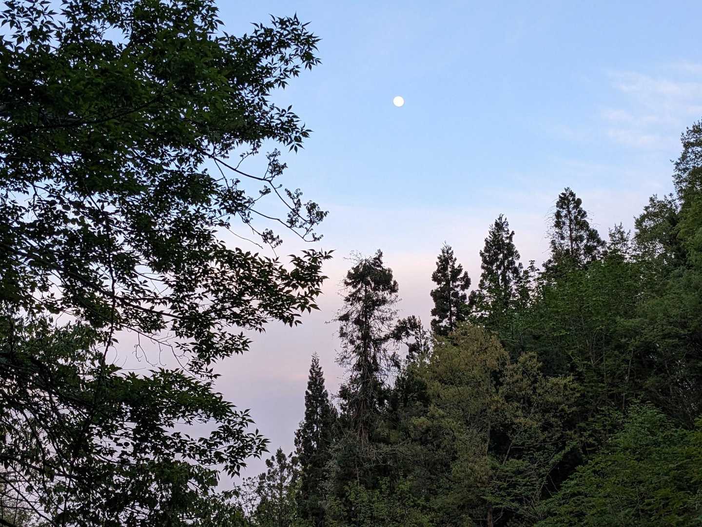夕焼けの上に青空が残っていた。
満月🌕が綺麗に見えました。
♫明日もまたどこへ行く〜愛を探しに行こう〜見慣れてる町の空に輝く月一つ〜俺もまた輝くだろう〜今宵の月のように〜♫エレカシの曲が聴こえてきた