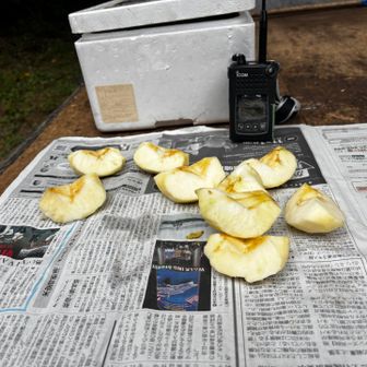 下山は横山ルートを選択
鳩吹山の分岐でコース誘導のおじさまよりコッソリ提供されたリンゴ🍎
今回は30人くらいがこちらを通過した様で、その人達のみ楽しめる裏メニューでした😆
美味しくて2切れペロリ😋
