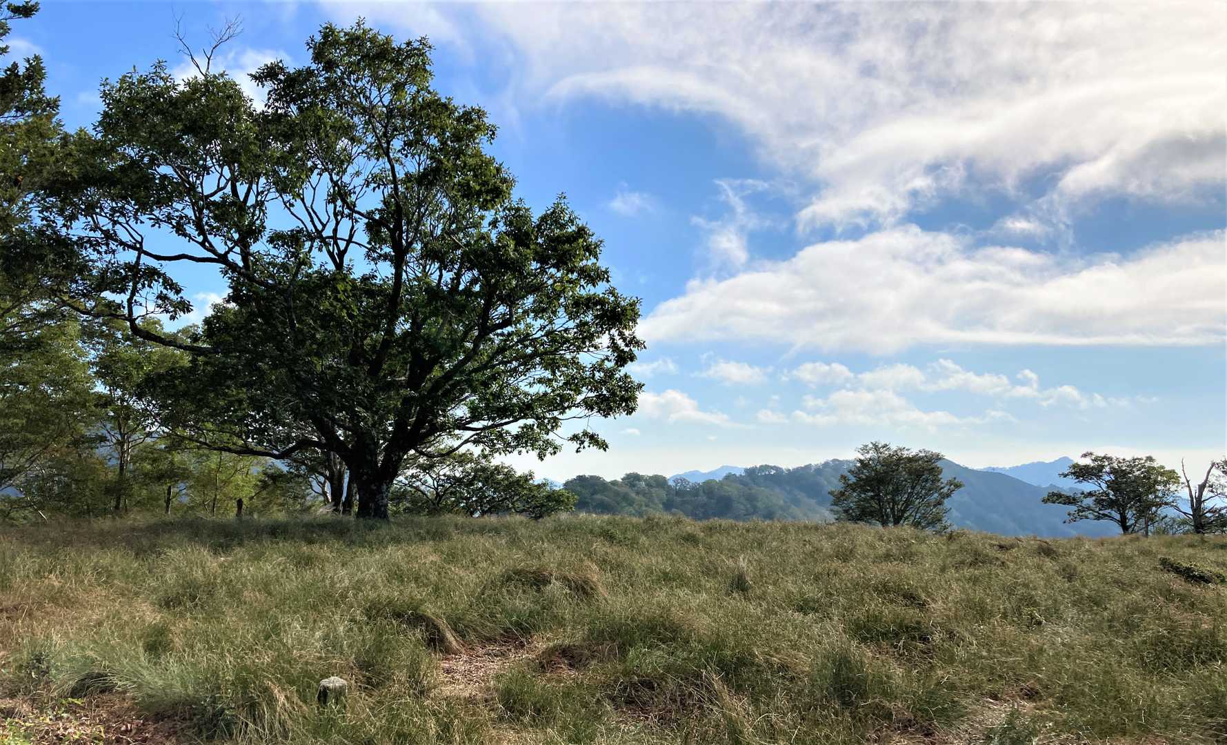 新九郎山-不入山 周回コースの写真