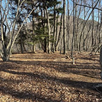 ここも頂上は広め👍