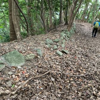 石垣の跡が残っています。