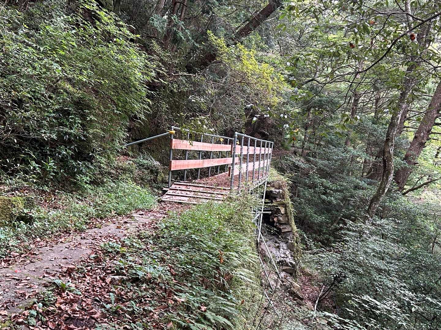 崩落で通行止めだったところに、きれいな木の橋を架けてくれている。