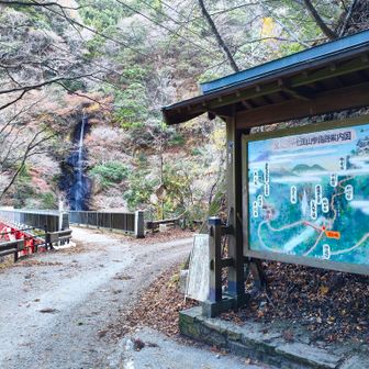 8時羽衣駐車場到着。今回も表参道から登ります。先ずは白糸の滝に行きます。