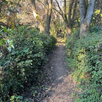 長〜〜い坂が続きます