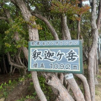 サクッと山頂！
残念ながらまっちろ