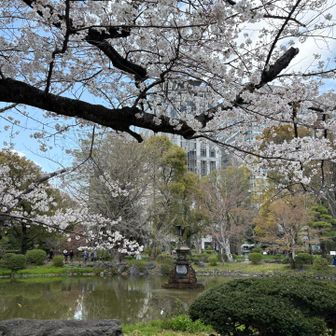 日比谷公園にきました。昼時のオアシス的な場所^_^