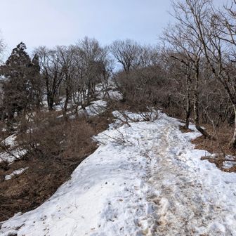 御殿山直下の下りを何とか下りきって振り返り…。要滑り止めです