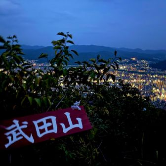 あっという間に夜になりました🌃