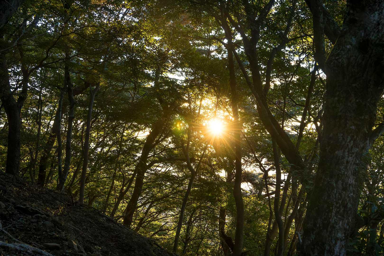 AM6:26、登山道からの日の出。
