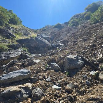 降りてきた急坂を見上げる